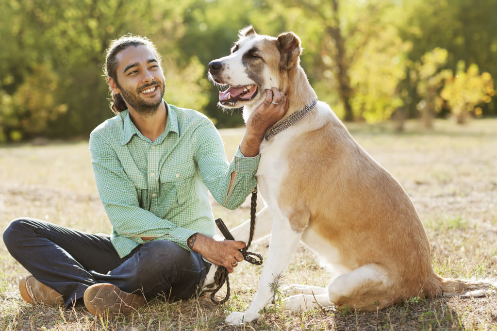 Man and central Asian shepherd