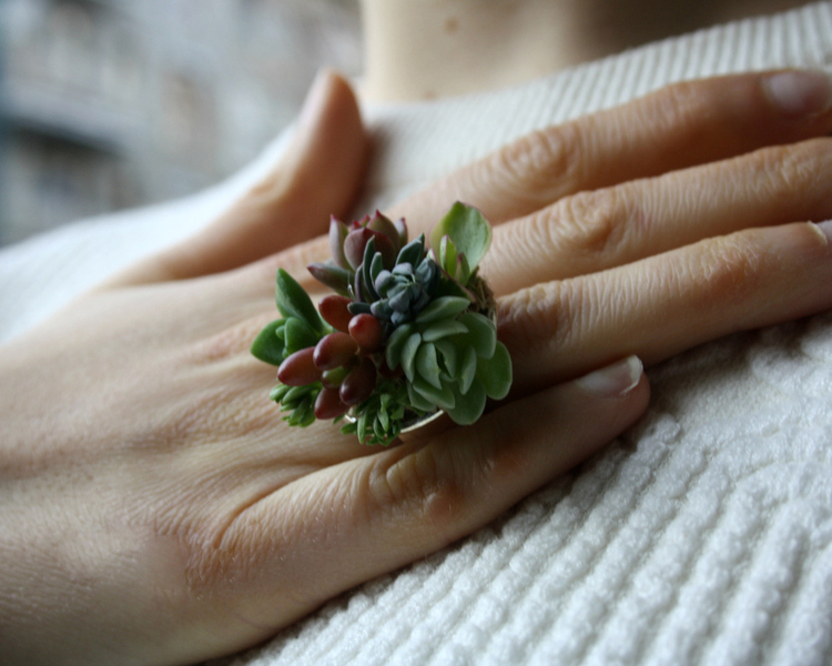 Bioecogeo_Anello con piante vive - So cute