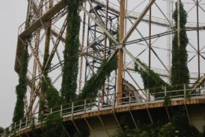 BioEcoGeo_lagoccia