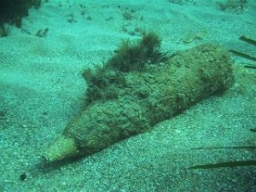 BioEcoGeo_ordigno-bellico-mare-300x2251-2