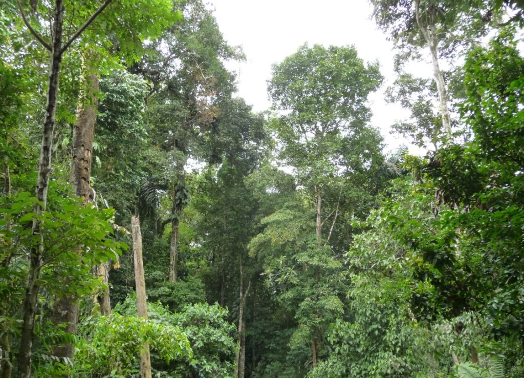 Ecuador