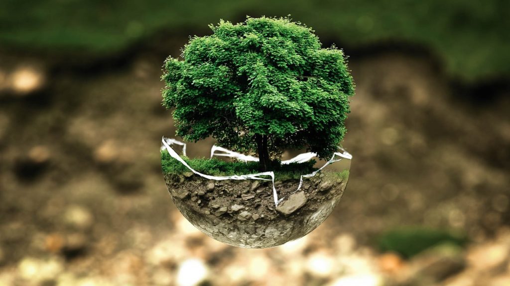BioEcoGeo_università