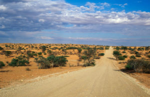 Kgalagadi