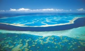 barriera corallina