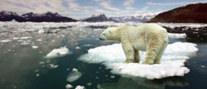 8845010-stop-global-warming-e1415785666125