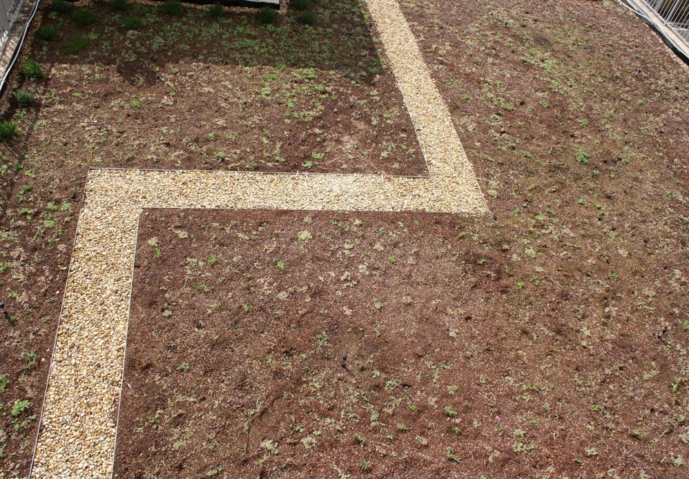 bioecogeo_scuolatettiverdi