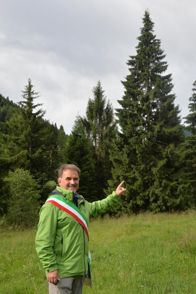 albero-natale-san-pietro-scurelle-vert