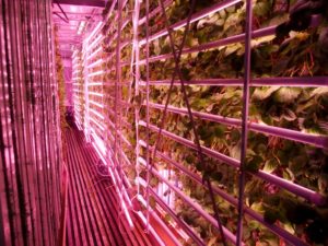 agricool_bioecogeo