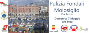 Molosiglio
