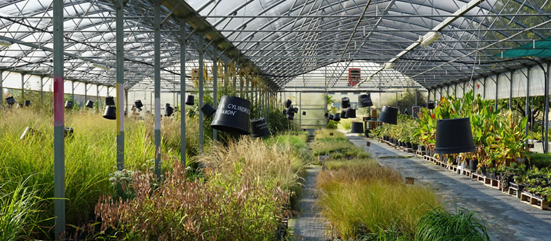 bioEcoGeo_cascinabollate