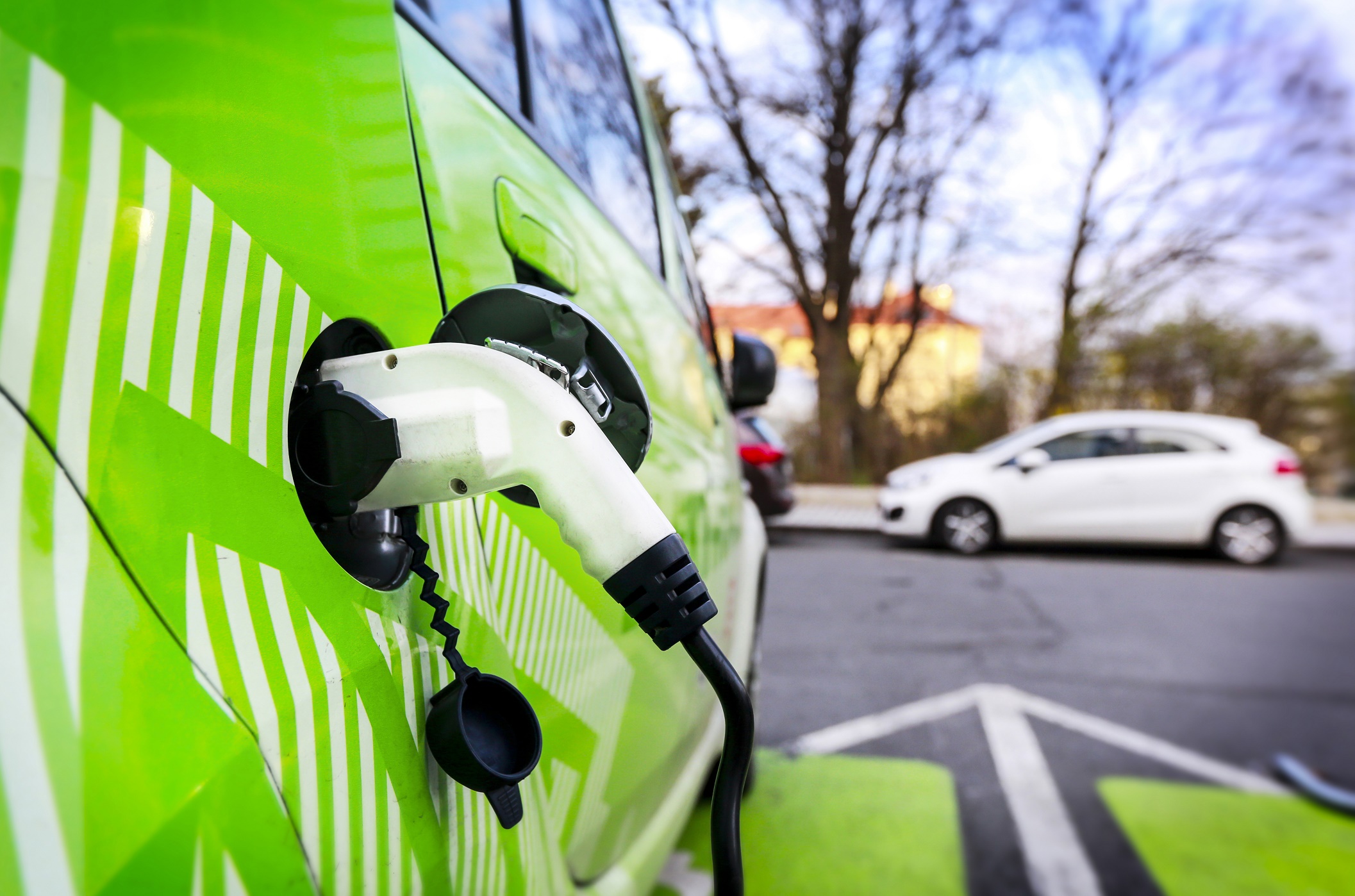 BioEcoGeo_auto_elettrica