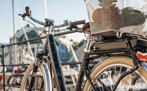 BioEcoGeo_Ebike