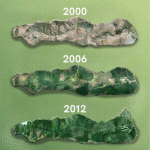 405074ce514d6d4e38dd521675339fa78f65ca01