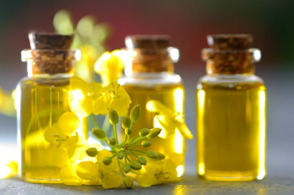 BioEcoGeo_olio-di-canola