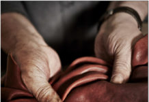 Nuove tecniche ecologiche per la concia