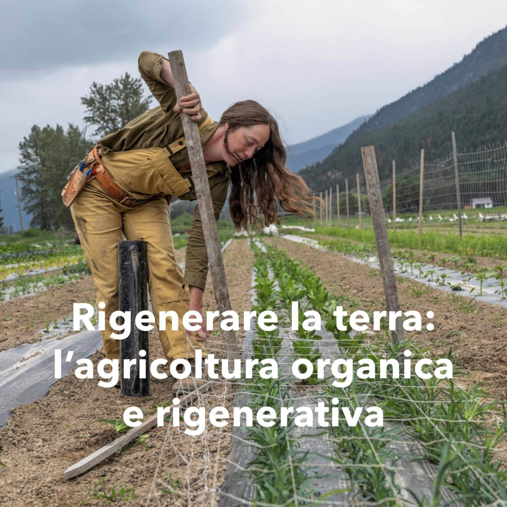 BioEcoGeo_patagonia