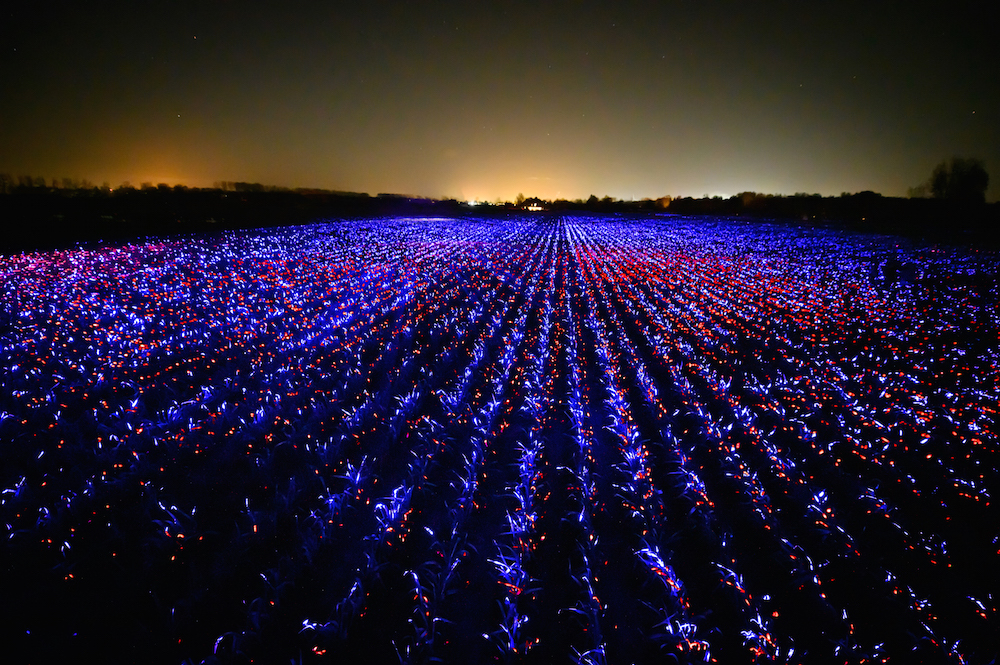 BioEcoGeo-grow-di-daan-roosegaarde