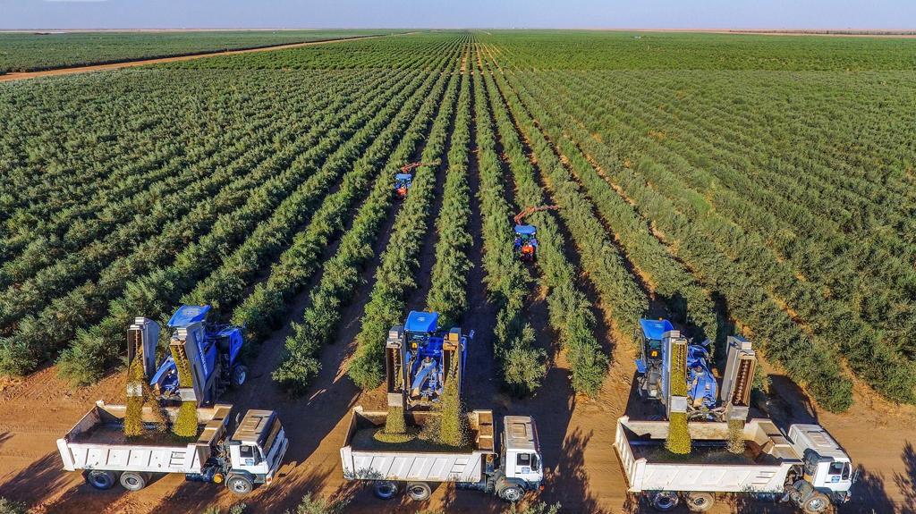 PNRR è un piano di ammodernamento di sviluppo insostenibile