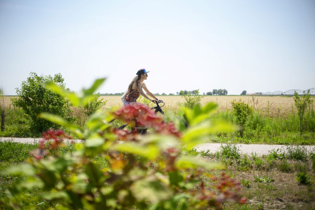 Bikeandwine tours
