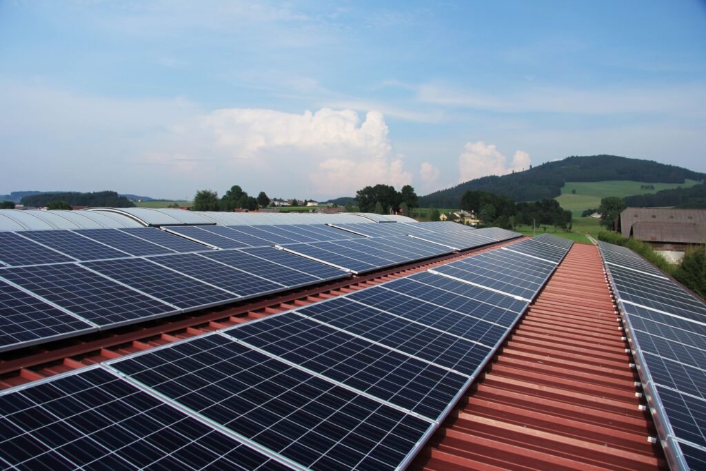 Pannelli fotovoltaici piccioni