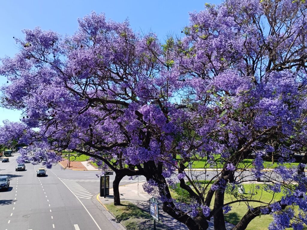 Viaggio in Argentina