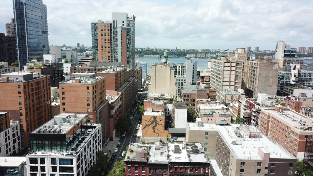 Ecomurales New York