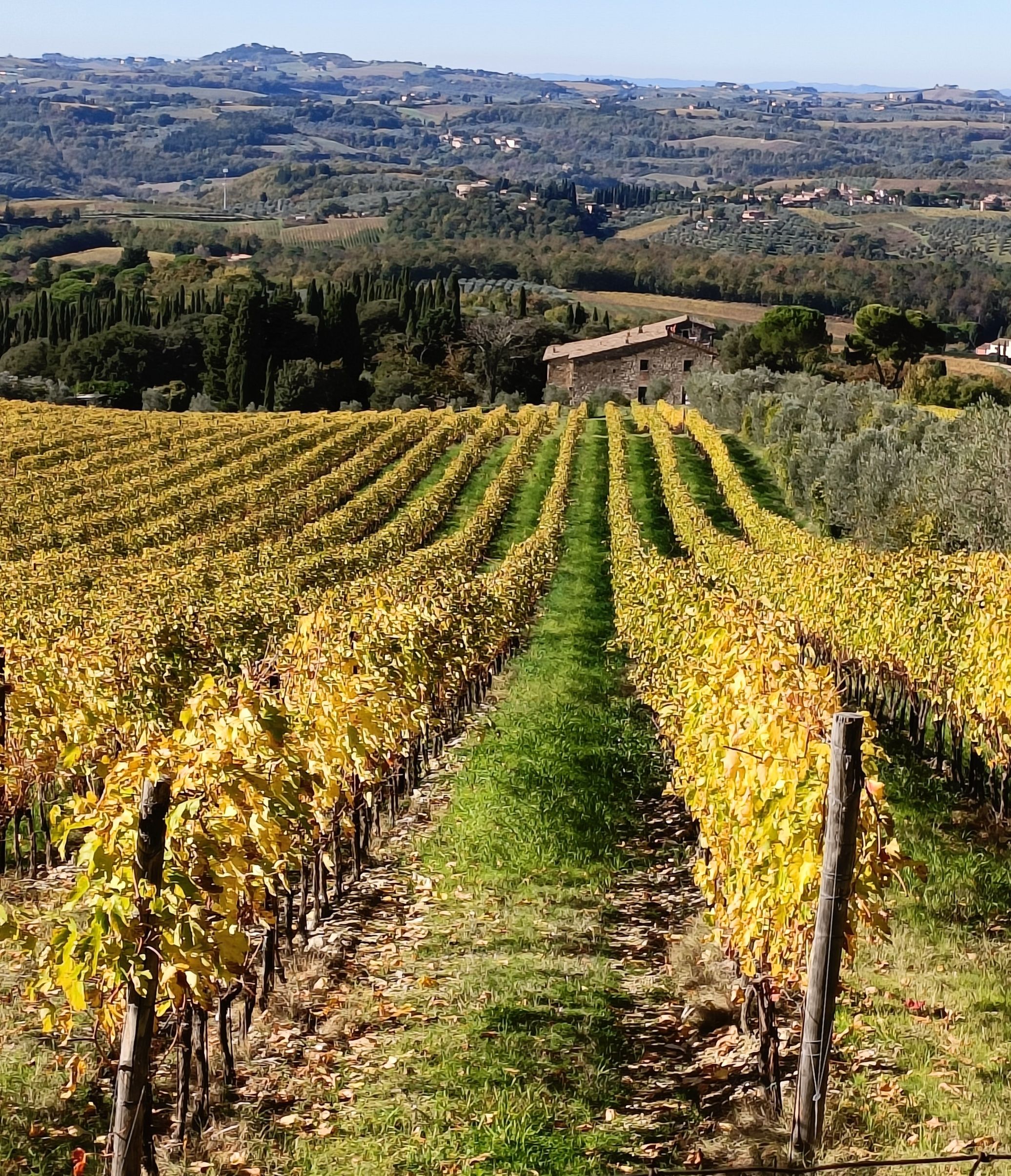In cammino da Firenze a Siena