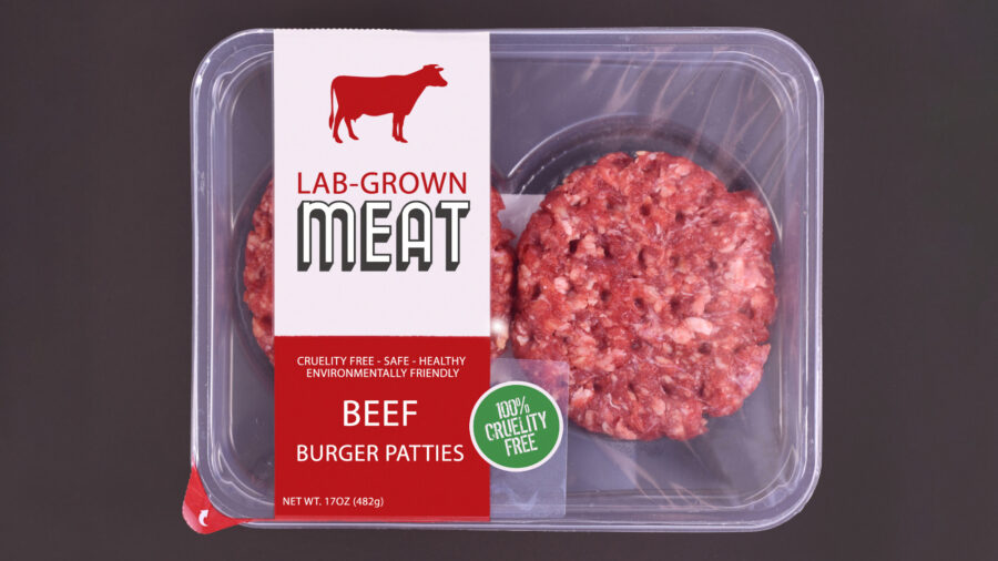 Carne artificiale