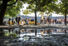 Volontariato aziendale Legambiente: nel 2025 oltre 13.500 dipendenti per l’ambiente Volontariato aziendale