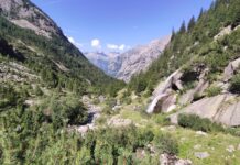 La biodiversità della Valtellina tra parchi, riserve e progetti di tutela Parchi della Valtellina