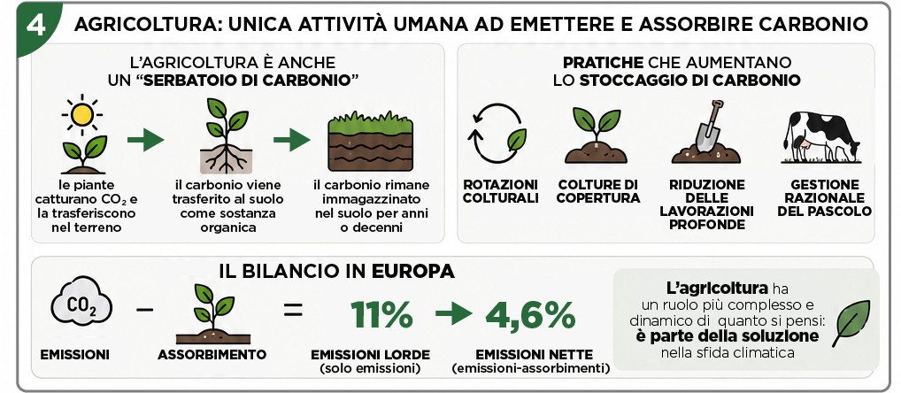 La carne inquina davvero?