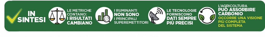 La carne inquina davvero?