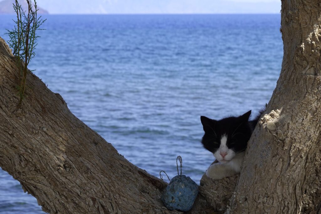 In cammino a KOS Grecia