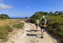 Alla scoperta dell’isola di Kos