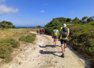 Alla scoperta dell’isola di Kos