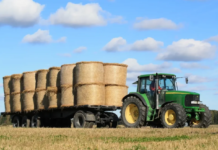 Emissioni agricole in Italia: cosa dicono i dati ISPRA