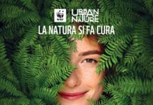 Qualità dell’aria: più natura nelle città